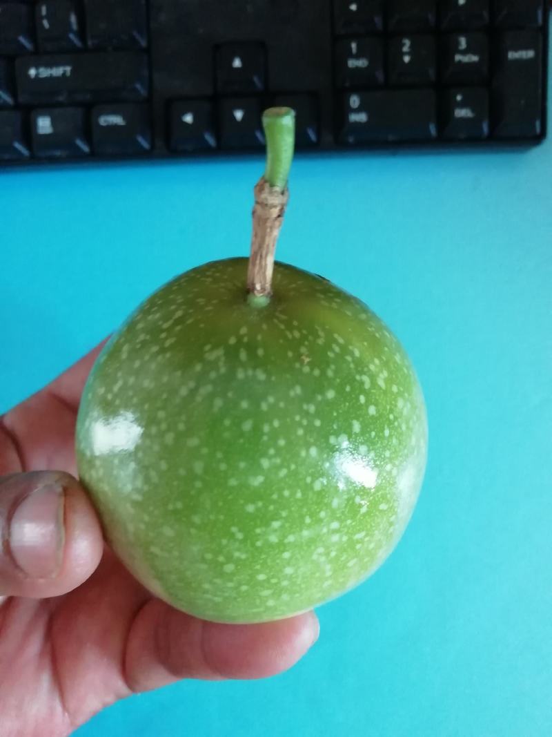 长期供应北流黄金百香果，统货，大果多！