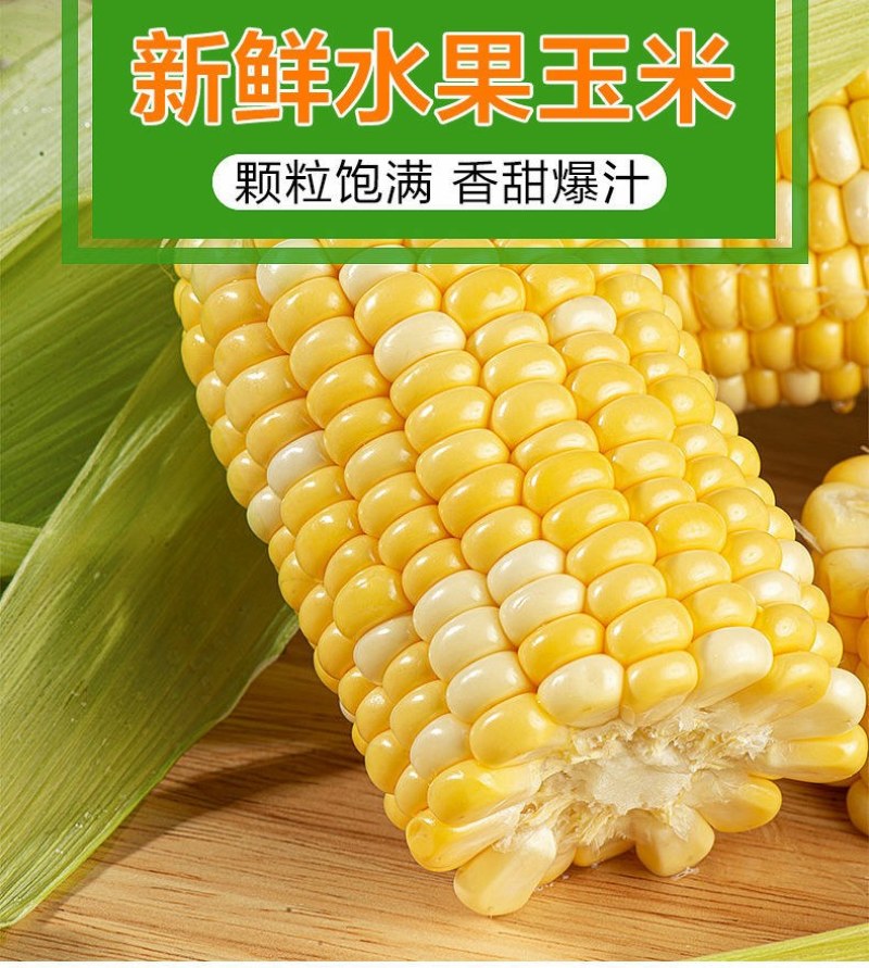 水果玉米可以生吃的新鲜玉米8两起产地现摘现发。