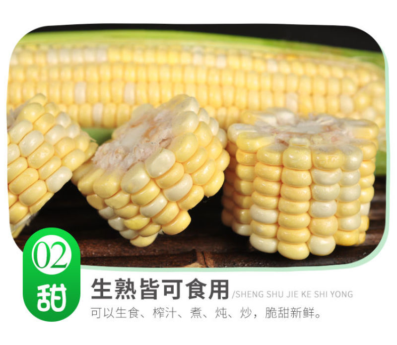 水果玉米可以生吃的新鲜玉米8两起产地现摘现发。