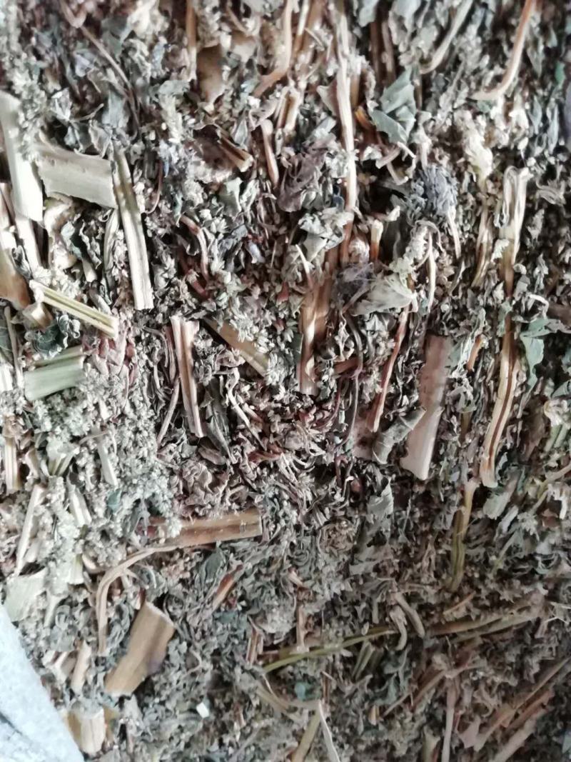 广东簕苋菜，优质簕苋菜，广东簕苋菜产地直供，欢迎直供