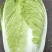 白菜大量上市，456斤黄心大白菜