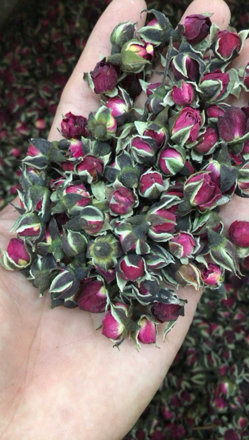 金边玫瑰茶玫瑰花茶2026年新云南金边玫瑰