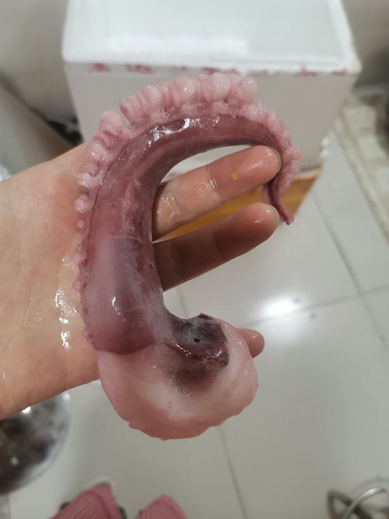 章鱼足大个70-100克一个八爪鱼足腿10斤一箱包邮穿串