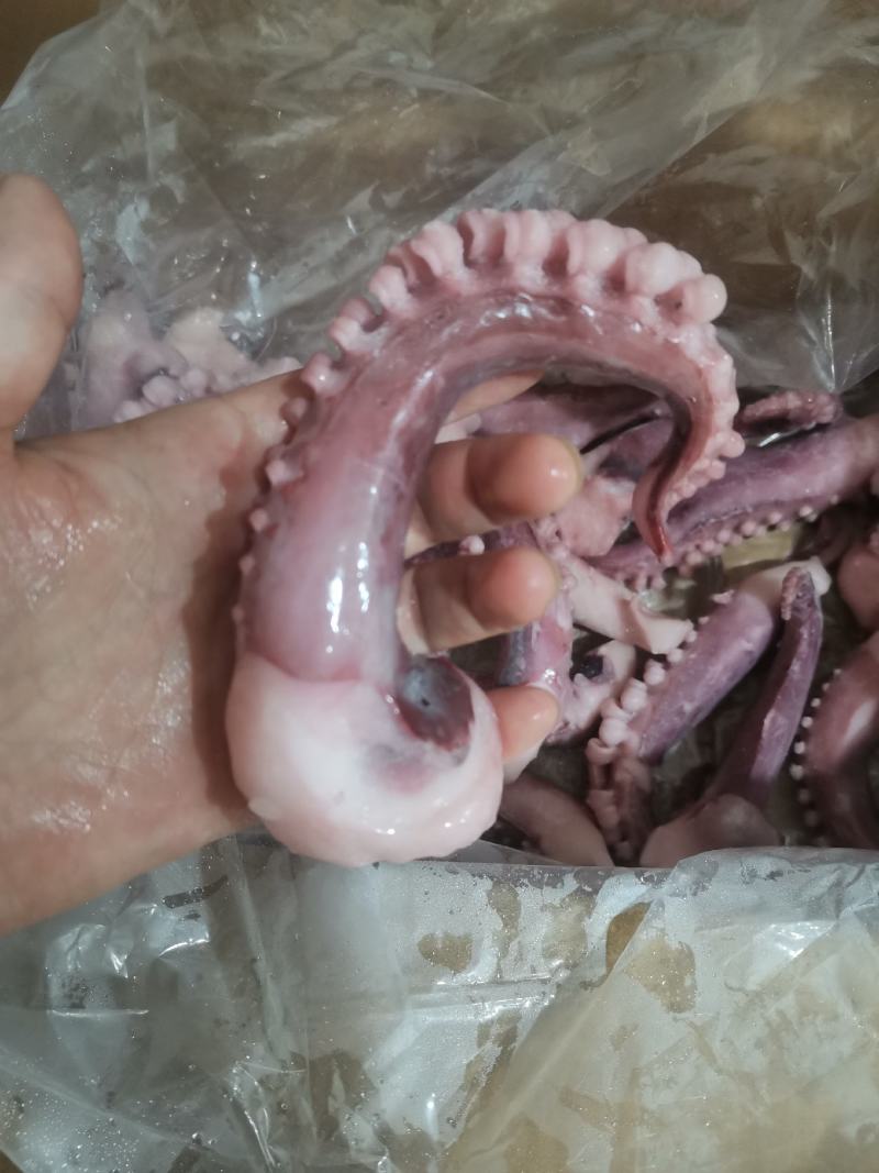 章鱼足大个70-100克一个八爪鱼足腿10斤一箱包邮穿串