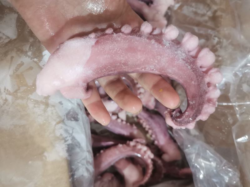 章鱼足大个70-100克一个八爪鱼足腿10斤一箱包邮穿串