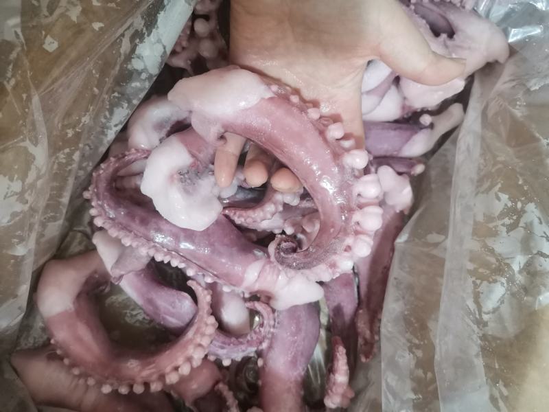 章鱼足大个70-100克一个八爪鱼足腿10斤一箱包邮穿串