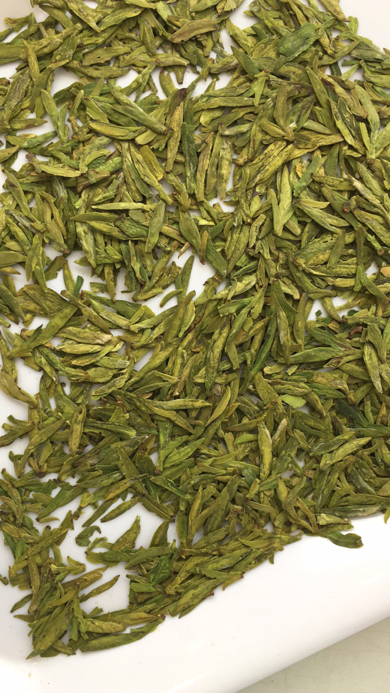 龙井绿茶浙江松阳龙井小芽龙井扁茶绿茶