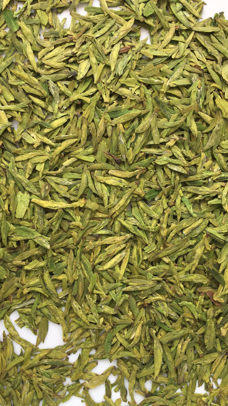 龙井绿茶浙江松阳龙井小芽龙井扁茶绿茶