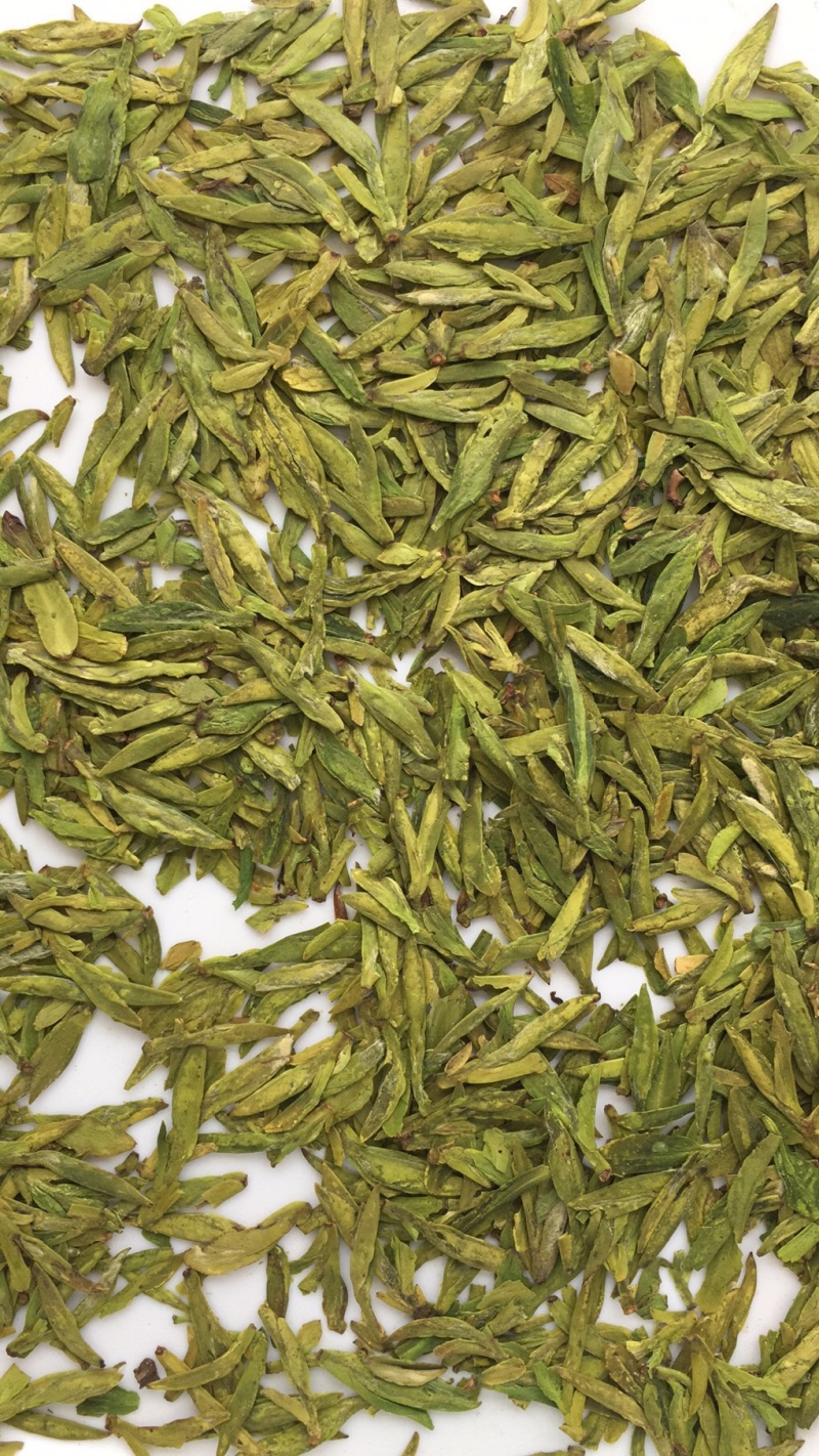 龙井绿茶浙江松阳龙井小芽龙井扁茶绿茶