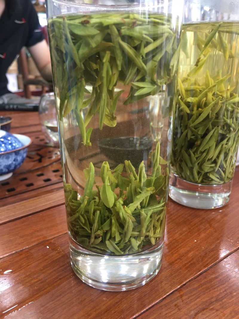 龙井绿茶浙江松阳龙井小芽龙井扁茶绿茶