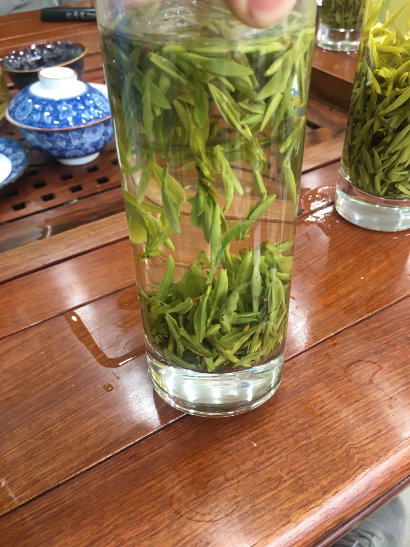 龙井绿茶浙江松阳龙井小芽龙井扁茶绿茶
