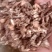漏芦，常年批发供应各种规格漏芦中药材