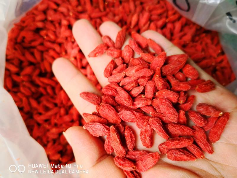 红枸杞口感好食用级别泡水喝2斤起包邮