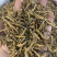 九节菖蒲节菖蒲水洗干净无杂质无硫磺熏蒸一公斤起批