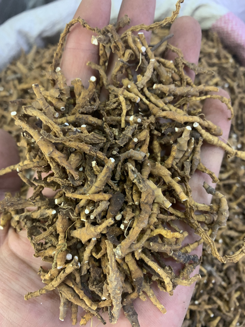 九节菖蒲节菖蒲水洗干净无杂质无硫磺熏蒸一公斤起批
