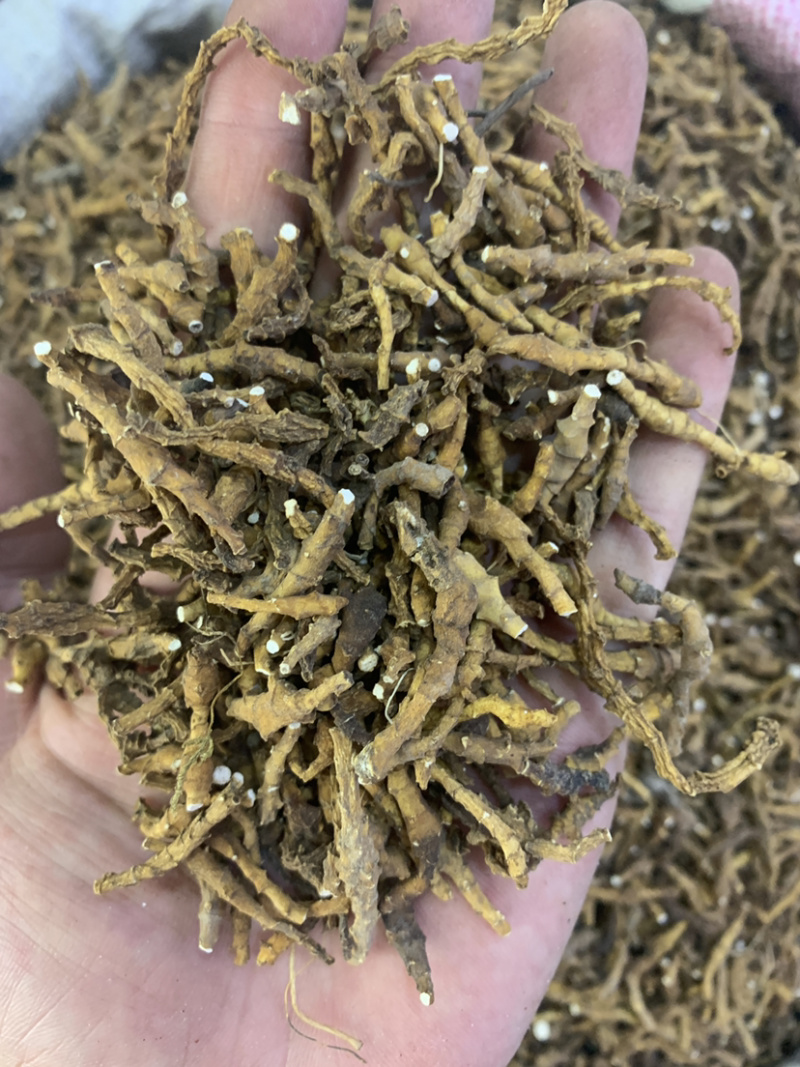 九节菖蒲节菖蒲水洗干净无杂质无硫磺熏蒸一公斤起批