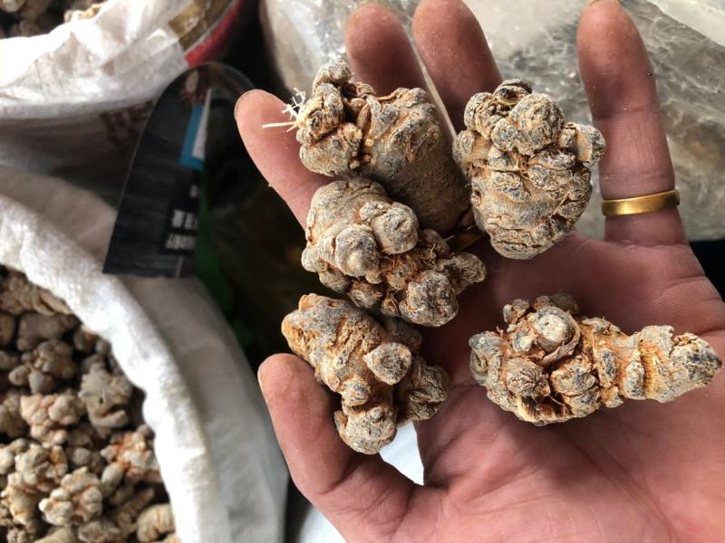 云南文山三七20头滑头足干老货文山田七三七粉足20头