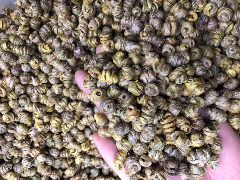 霍山仿野生铁皮石斛枫斗水草