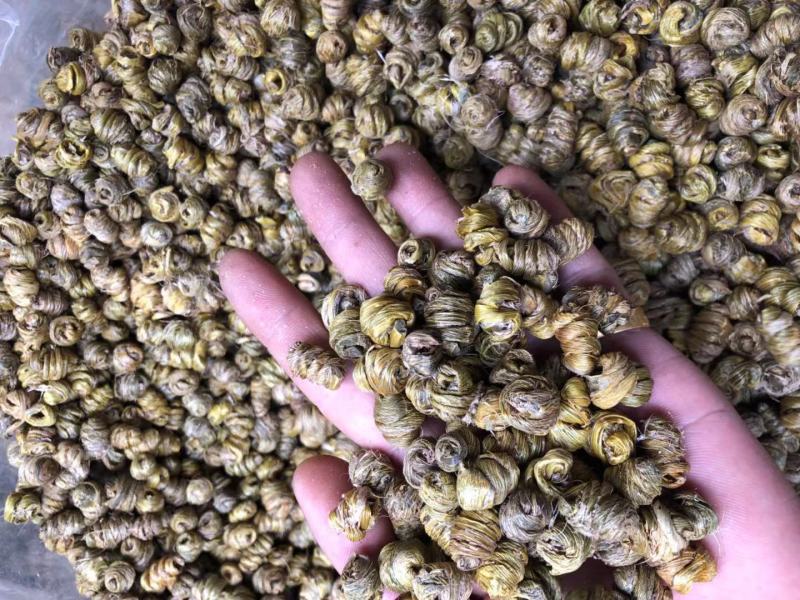 霍山仿野生铁皮石斛枫斗水草