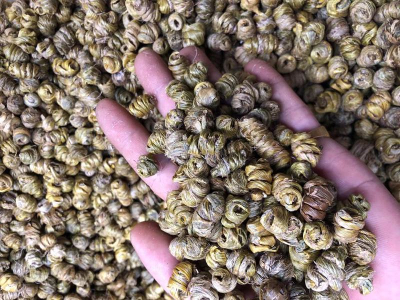霍山仿野生铁皮石斛枫斗水草