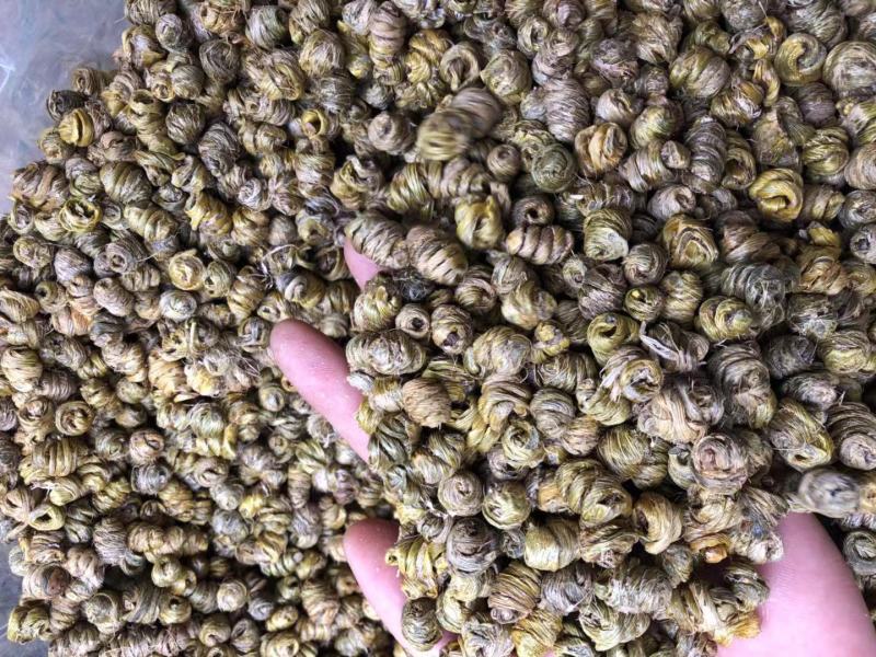 霍山仿野生铁皮石斛枫斗水草