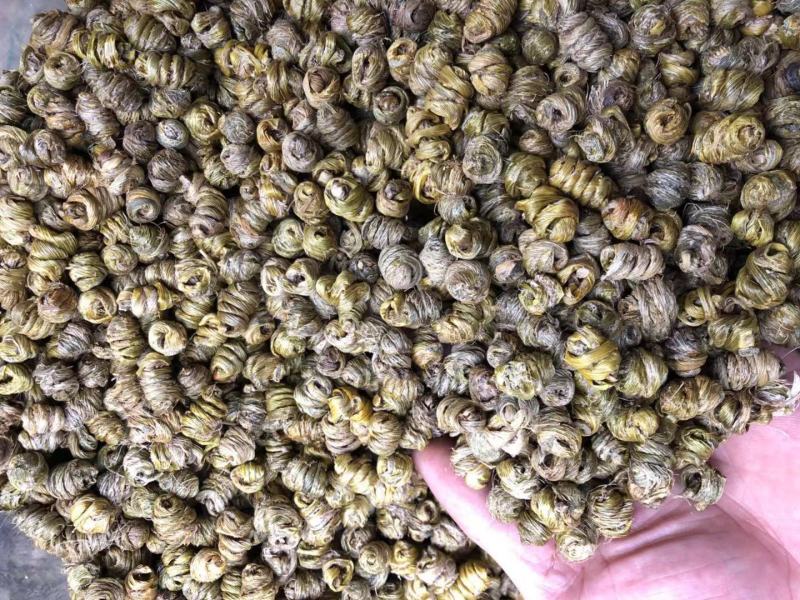 霍山仿野生铁皮石斛枫斗水草