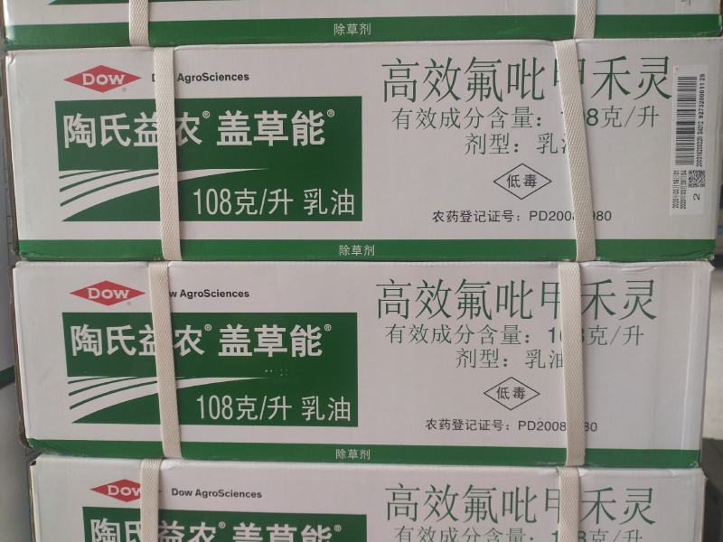 乙烯利葡萄棉花，早成熟、着色好产量高