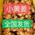生姜小黄姜/产地批发【坏烂包赔/常年有货】全国发货