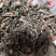 旱莲草河北干货人工种植2斤起包邮