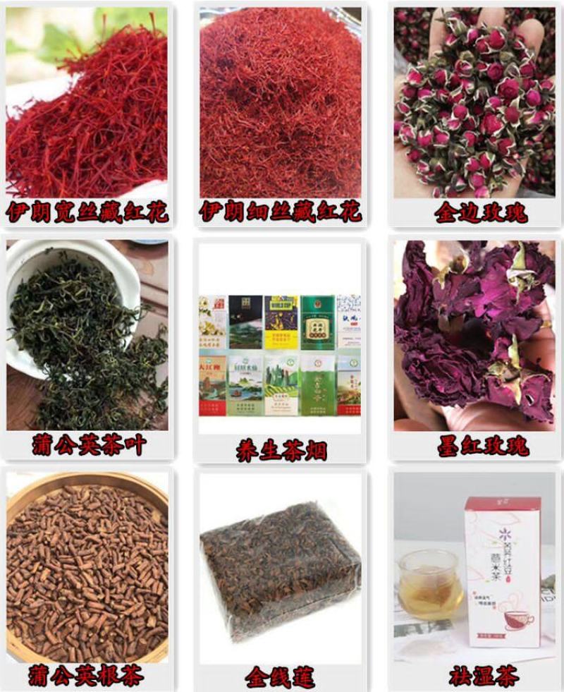姬松茸大朵云南野生蘑菇菌子