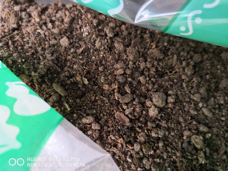 夜明砂干货中药材用量大从优经营各种中药材
