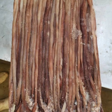 鱿鱼须水足鱿鱼长须秘鲁鱿鱼长须秘鲁水足印度洋水足