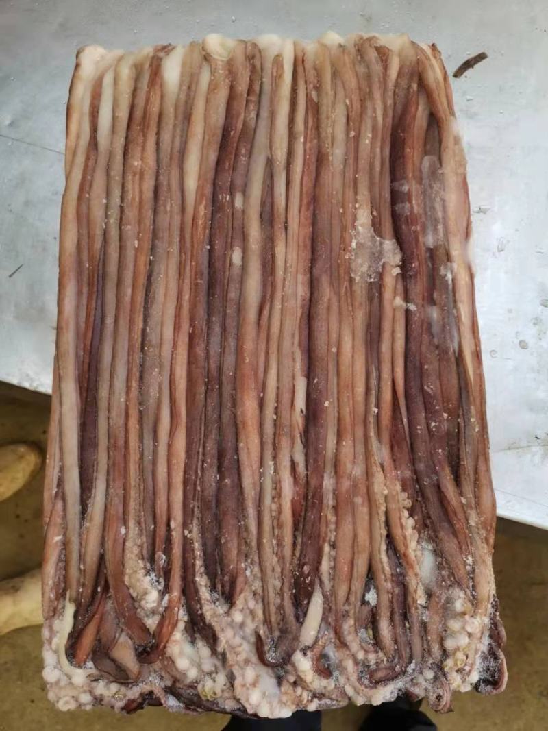 鱿鱼须水足鱿鱼长须秘鲁鱿鱼长须秘鲁水足印度洋水足