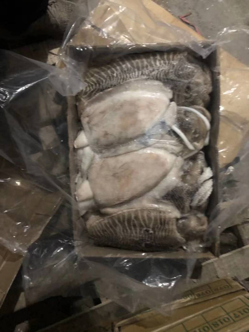 墨鱼，原汁货，大小规格，大小规格齐全，欢迎询价联系