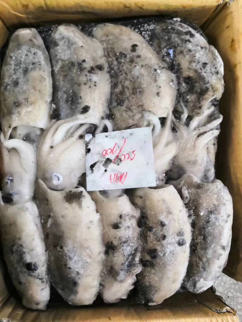 墨鱼，原汁货，大小规格，大小规格齐全，欢迎询价联系