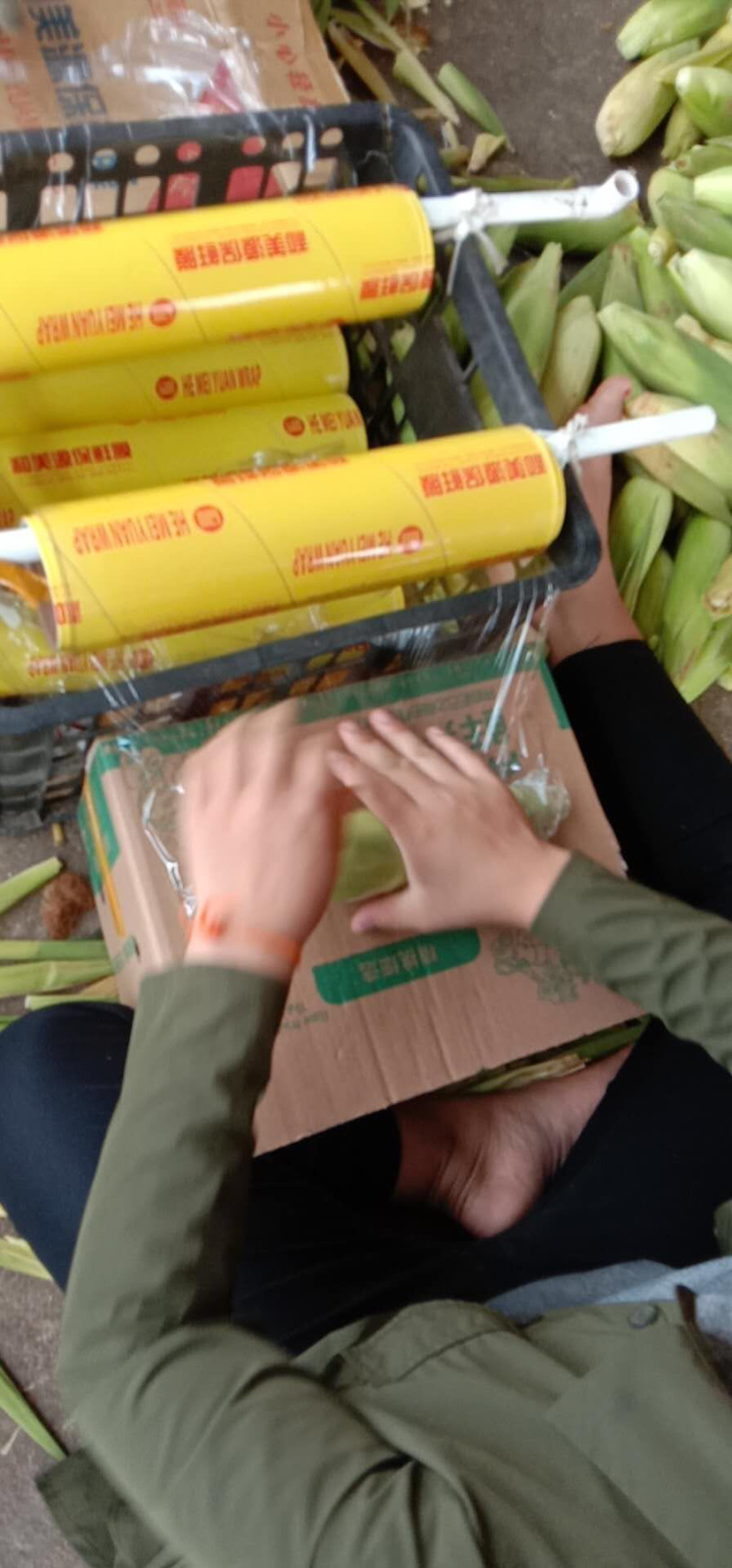 水果玉米太阳花花超大量有货一件代发对接电商微商