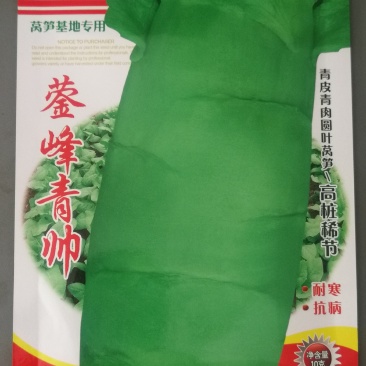 青帅莴笋高桩青皮青肉，耐寒。