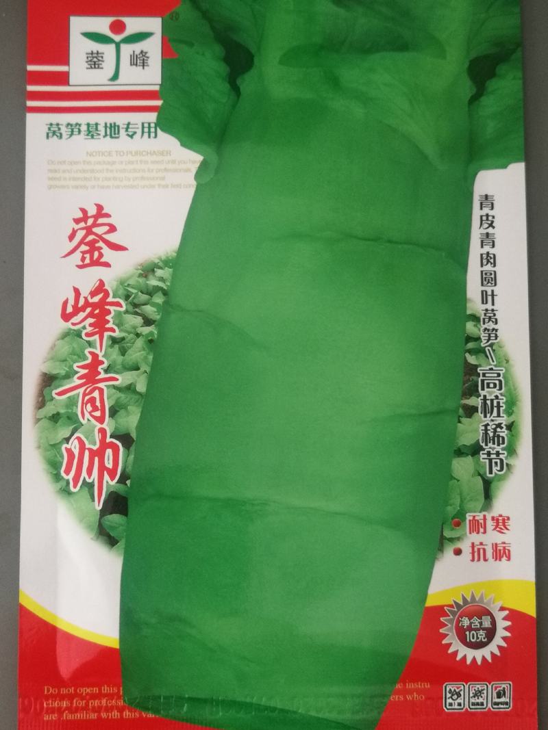 青帅莴笋高桩青皮青肉，耐寒。