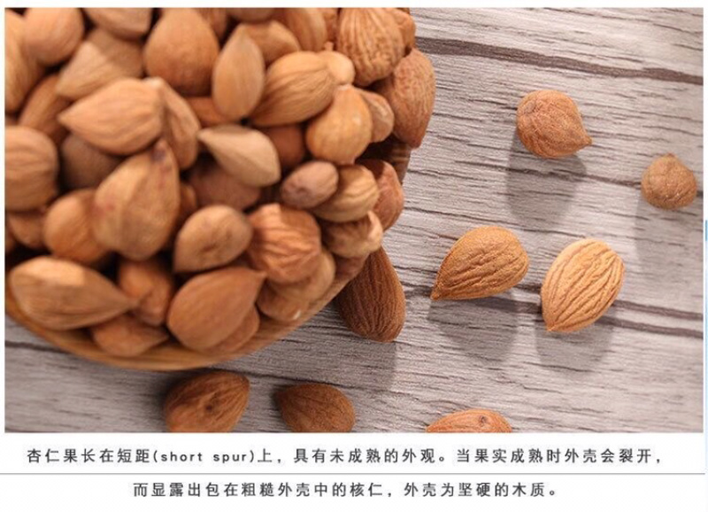 苦杏仁中药材苦杏仁新货苦杏仁北杏仁生杏仁带皮杏仁
