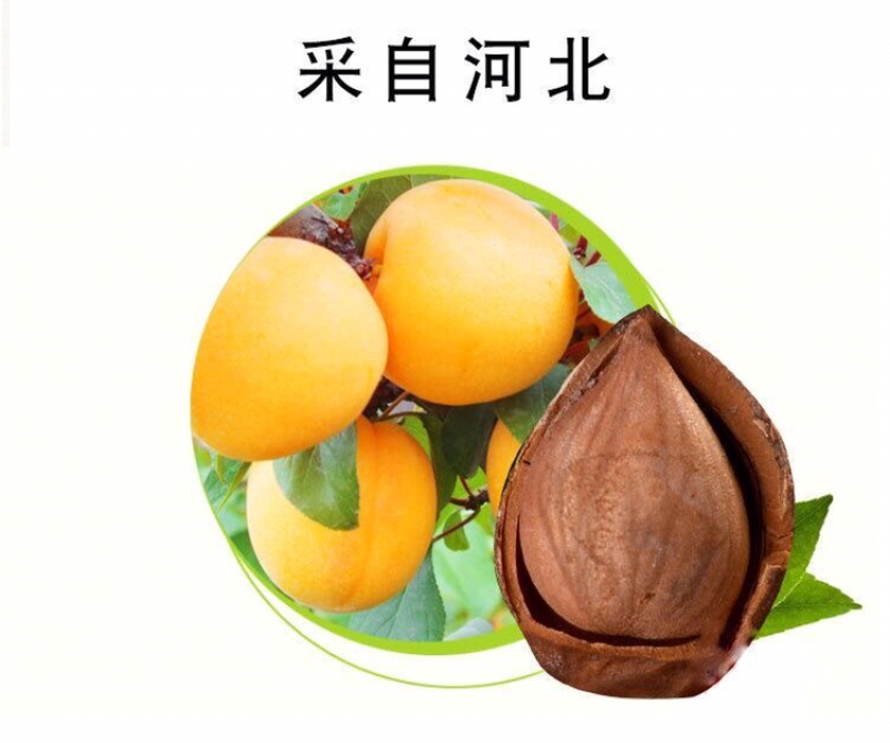 苦杏仁中药材苦杏仁新货苦杏仁北杏仁生杏仁带皮杏仁
