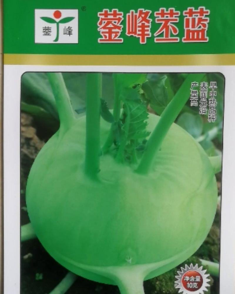 苤蓝基地专供品种