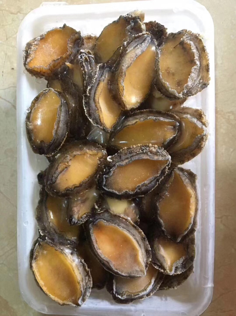 大小鲍鱼活冻规格多种选择