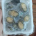 大小鲍鱼活冻规格多种选择