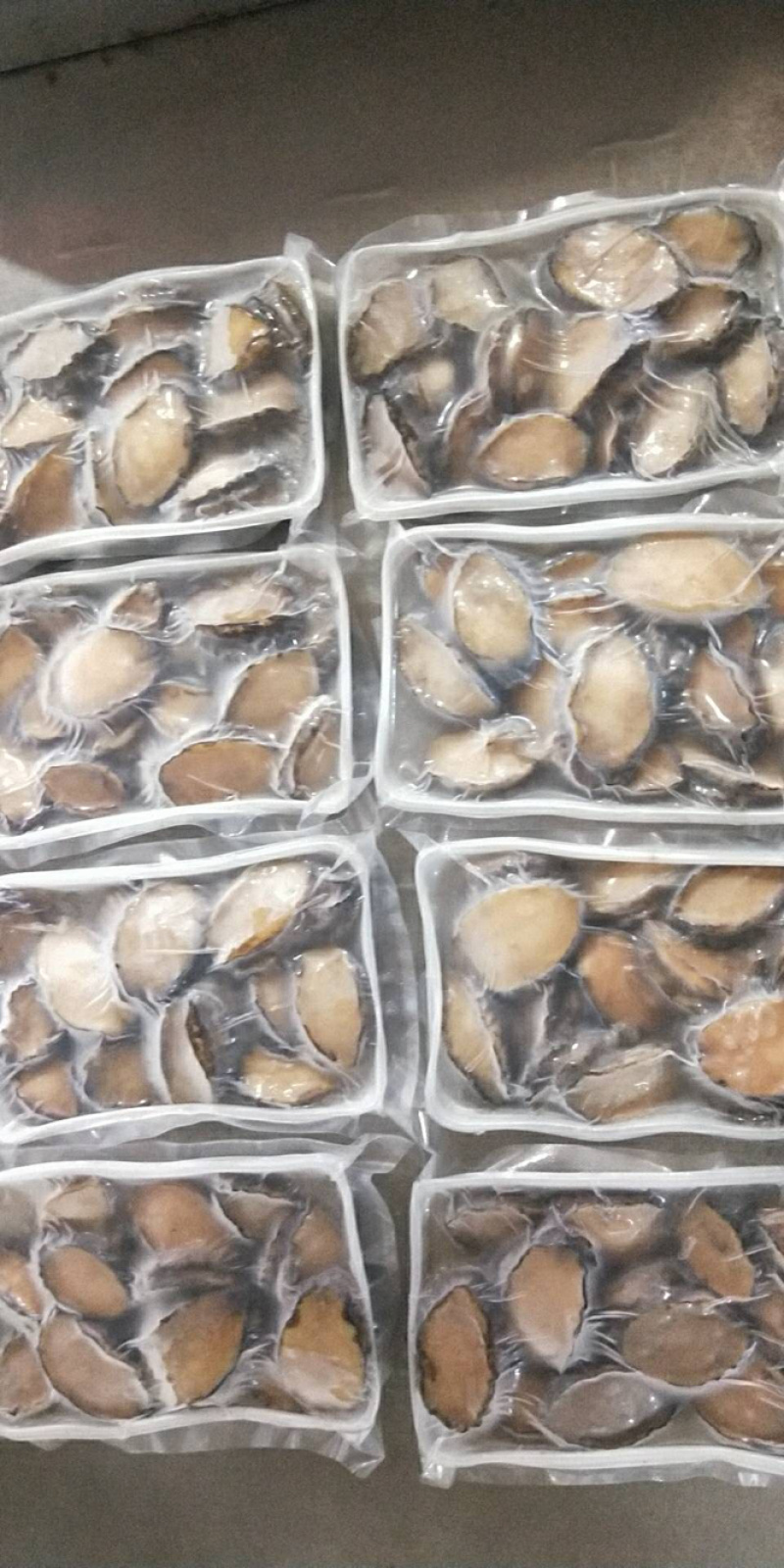 大小鲍鱼活冻规格多种选择