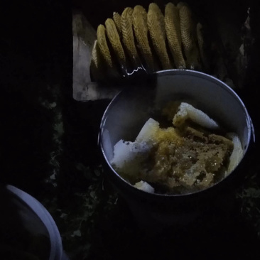 AA真正的深山好蜂蜜