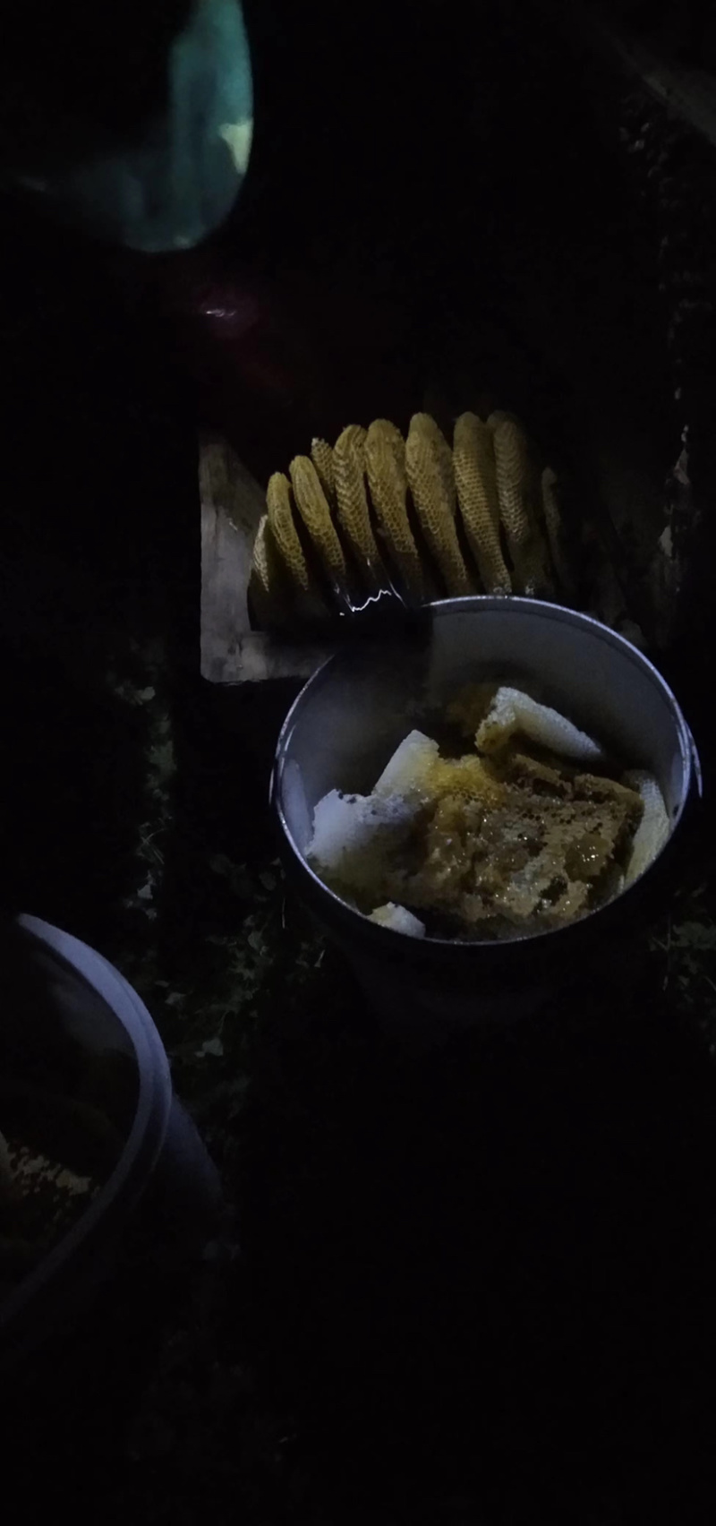 AA真正的深山好蜂蜜