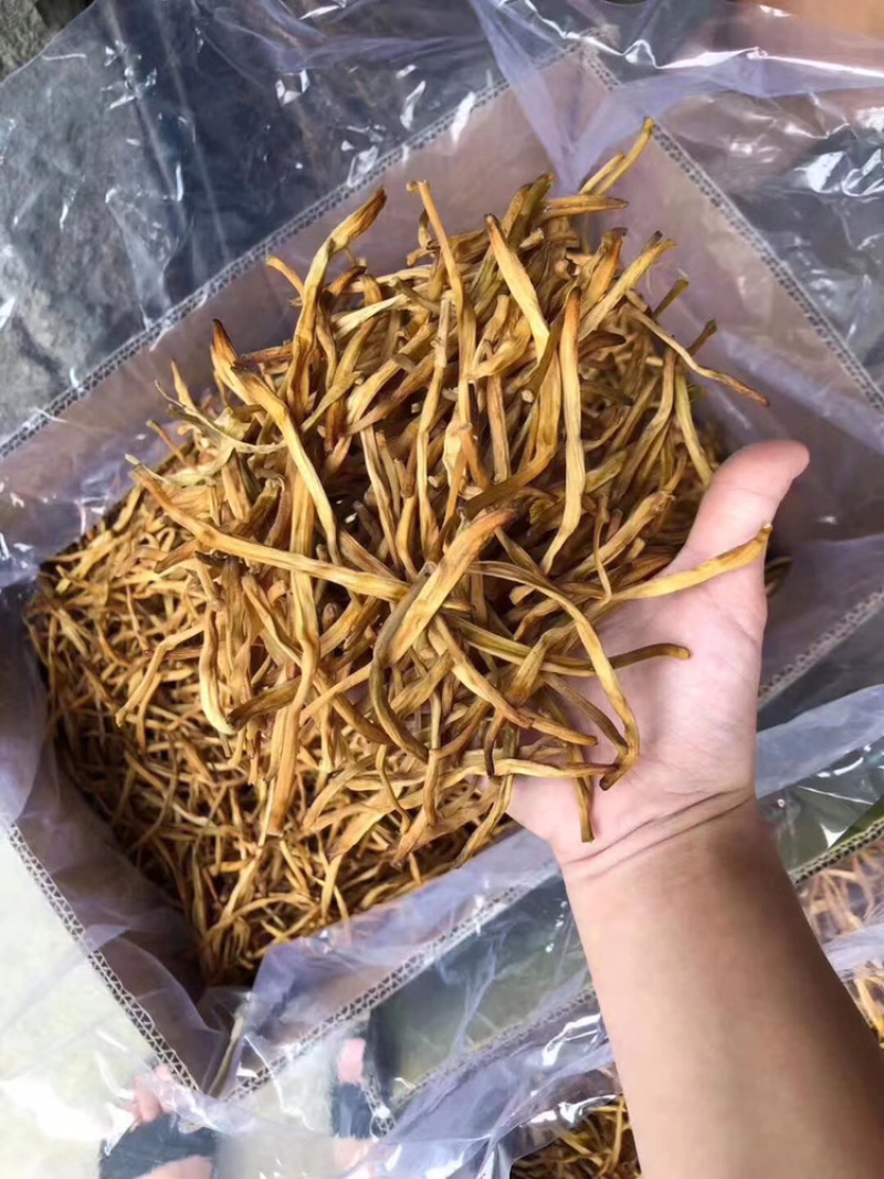 黄花菜产地金针菜江湖热卖产品展销会地摊早市