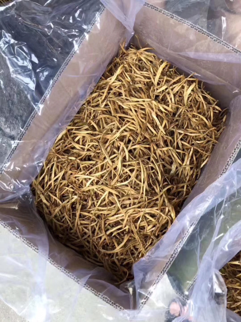 黄花菜产地金针菜江湖热卖产品展销会地摊早市