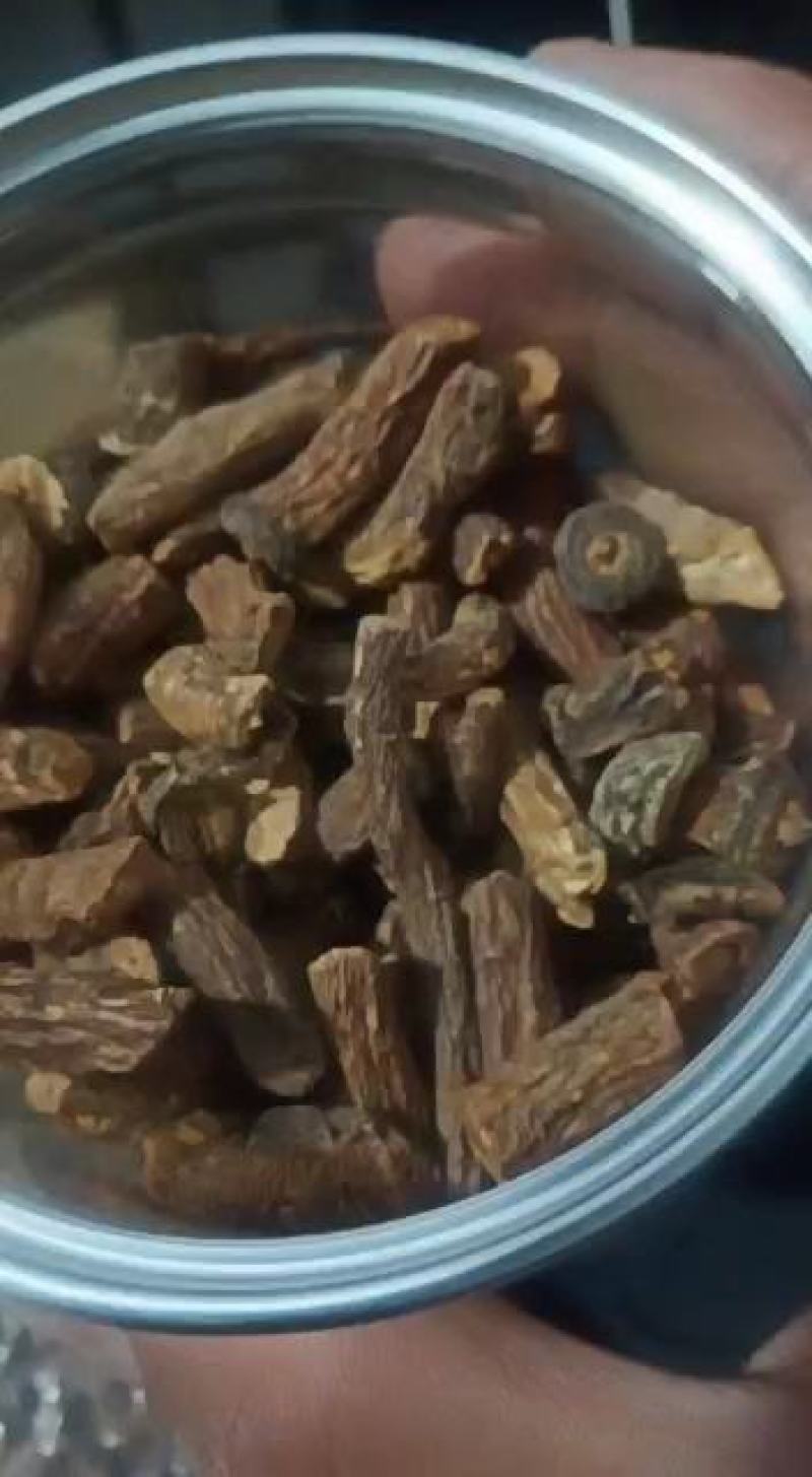 蒲公英根香味儿浓郁。包邮。