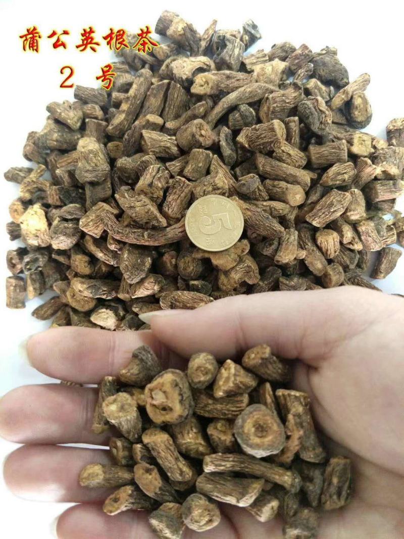 蒲公英根香味儿浓郁。包邮。